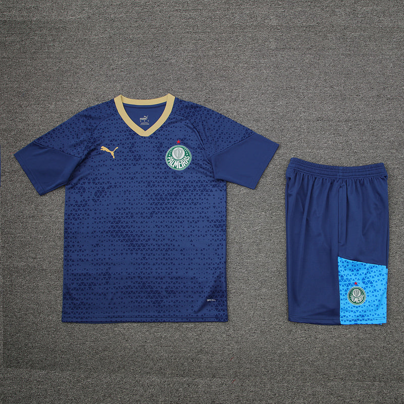 Palmeiras Training Set