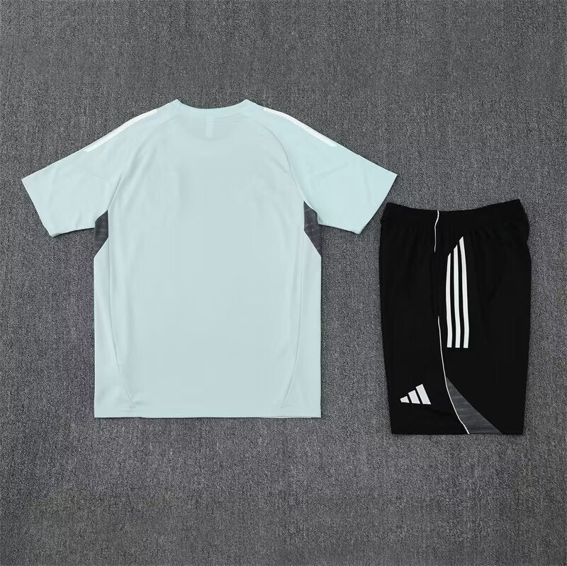Japan Training Set