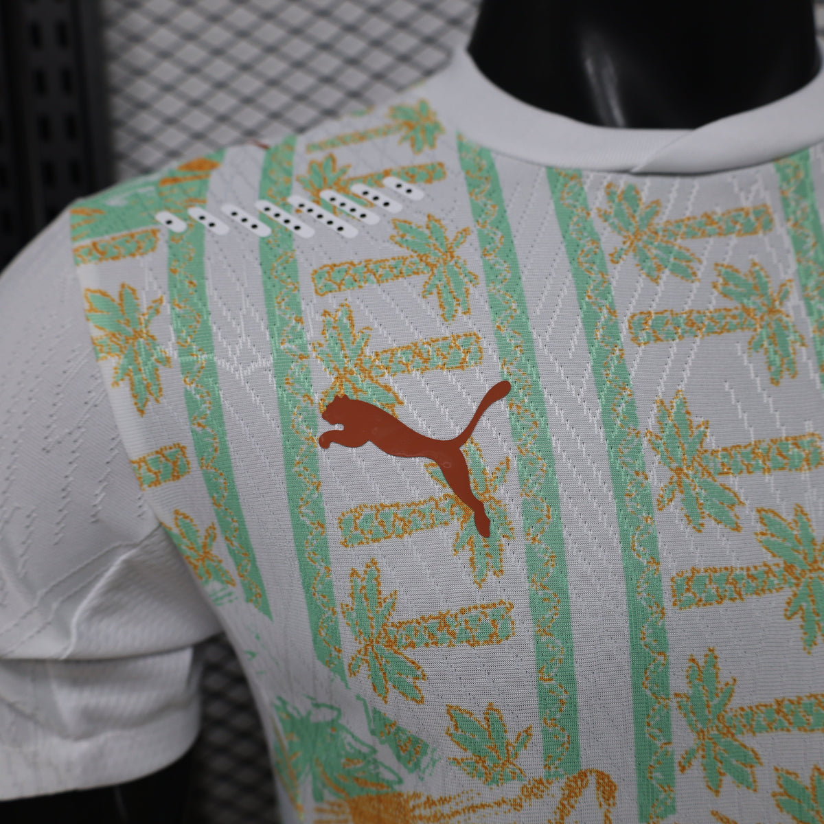 2026 Cote d'Ivoire Away World Cup Kit Player Version