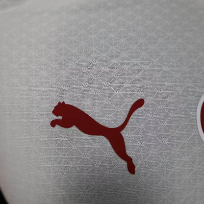 2025/2026 Galatasaray Away Kit