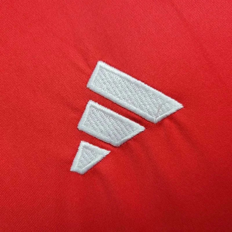 2024 Wales Home Kit