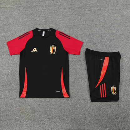 Belgium Training Set