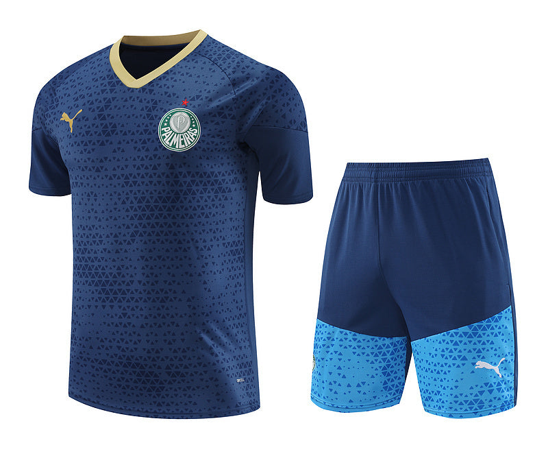 Palmeiras Training Set