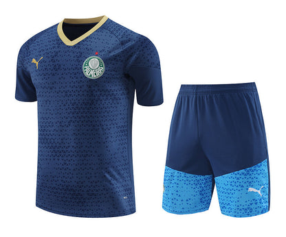 Palmeiras Training Set