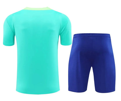 Brazil Training Set