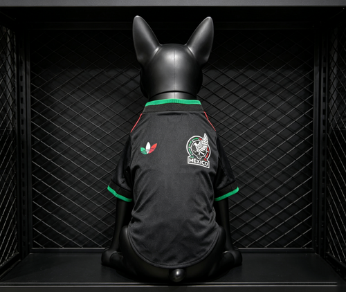 2026 Mexico Third Pet Jersey