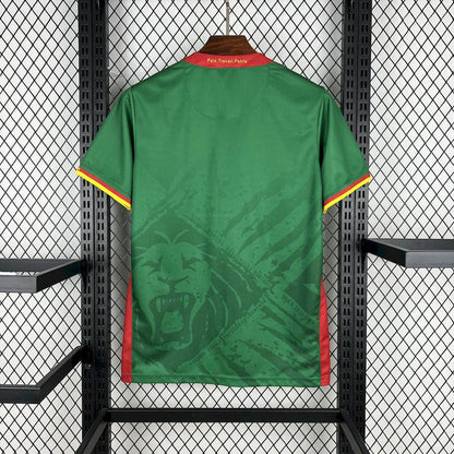 2025-2026 Cameroon Home Kit
