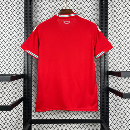 2026 Wales Home World Cup Kit Fan Version