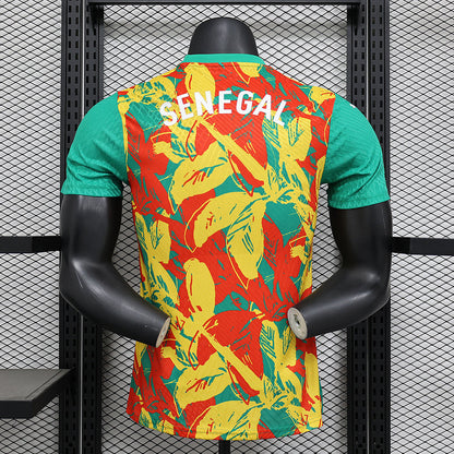2024/2025 Senegal Pre-match Kit
