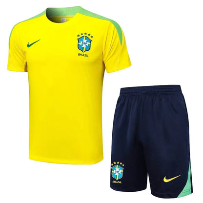2024-2025 Brazil Training Set