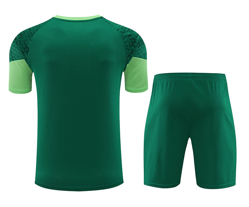 Palmeiras Training Set