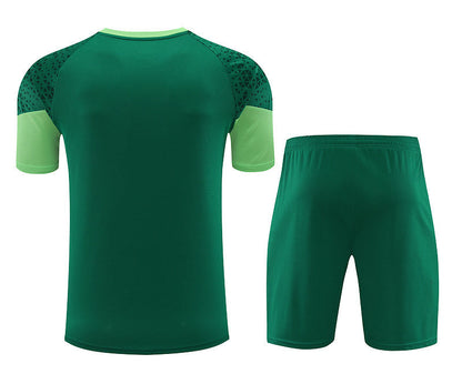 Palmeiras Training Set