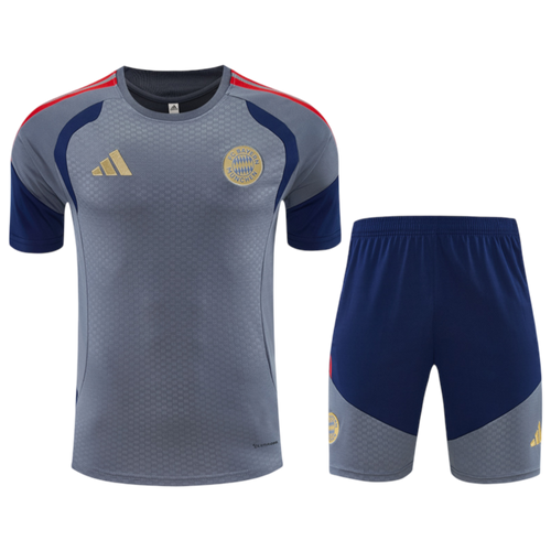 2026/2027 Bayern Munchen Grey Set