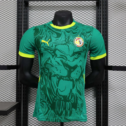 2024/2025 Senegal Away Kit