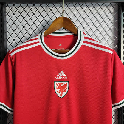 2022 Wales Home Kit