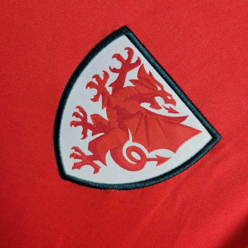 2024 Wales Home Kit