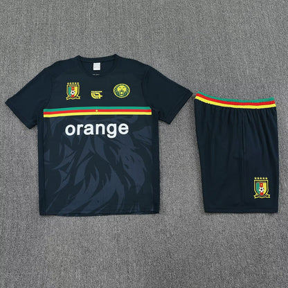 Cameroon Training Set