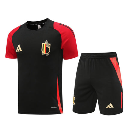 Belgium Training Set