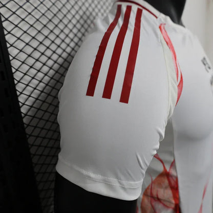 Japan 2024/2025 Away Kit