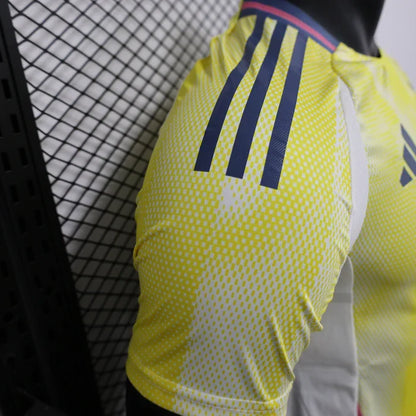 Juventus 2024/2025 Away Kit