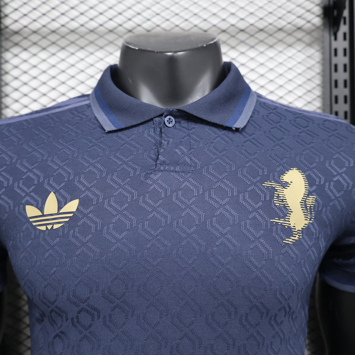Juventus 2024/2025 Third Kit