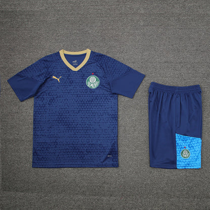 Palmeiras Training Set