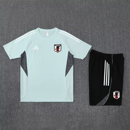 Japan Training Set