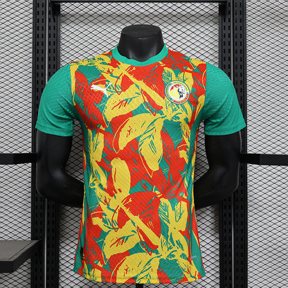 2024/2025 Senegal Pre-match Kit