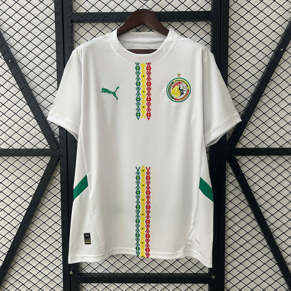 2024/2025 Senegal Home Kit