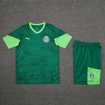 Palmeiras Training Set