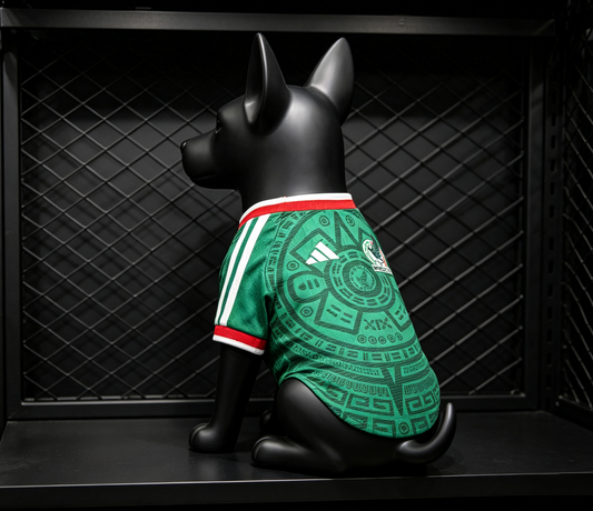2026 Mexico Home Pet Jersey