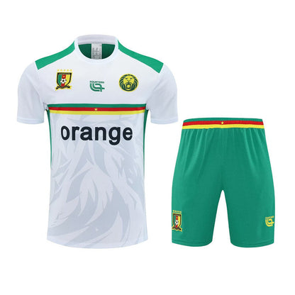Cameroon Training Set