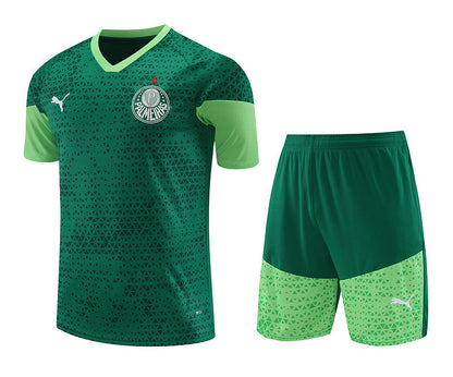 Palmeiras Training Set