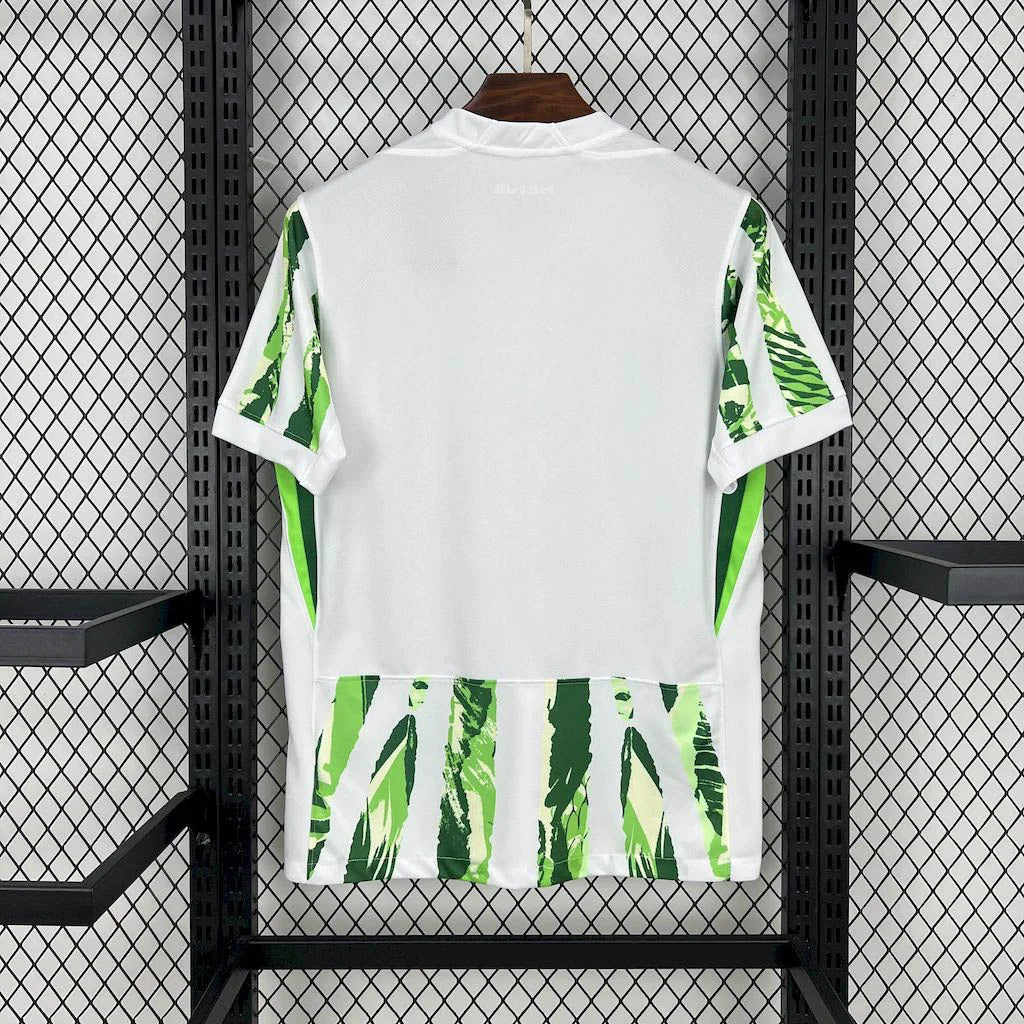 2025-2026 Nigeria Home Kit