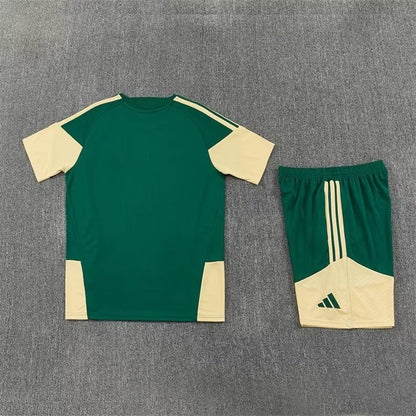2026/2027 Real Madrid Green x Gold Set